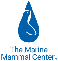the marine mammal center